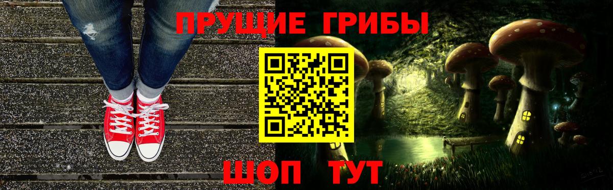 Псилоцибиновые грибы Psilocybe Курск