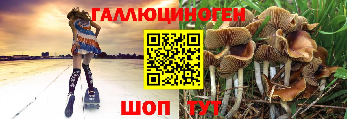 Псилоцибиновые грибы Magic Shrooms  Вход с VPN  Курск 